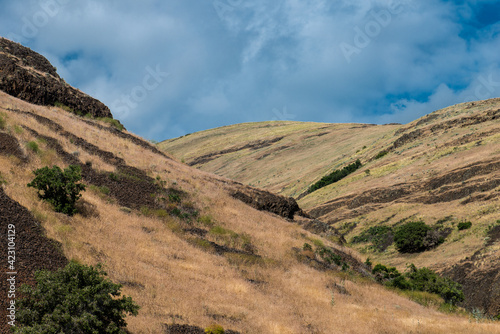 Hill Country around the Snake River in Eastern Washington photo