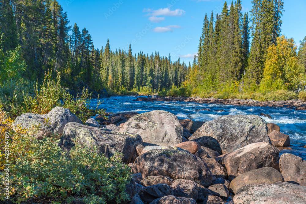 Wild river winds through the forest deep in the arctic. Wild nature of Swedish Lapland close to Tjaktjajavrre lake, Sarek National Park. Wild river winds through the forest deep in the arctic. Wild nature of Swedish Lapland close to Tjaktjajavrre lake, Sarek National Park.