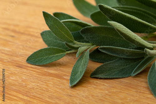 Salvia officinalis on top of a wooden board