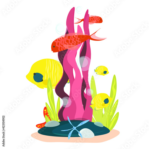 Illustration of a fish in the aquarium. Marine life on a white background.