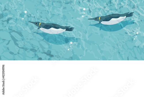 水中を泳ぐペンギン