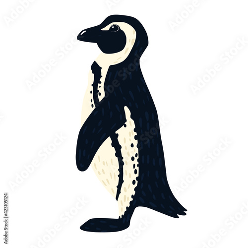 Penguin african isolated on white background. Cute bird from arctic hand drawn style. Pretty cartoon character.