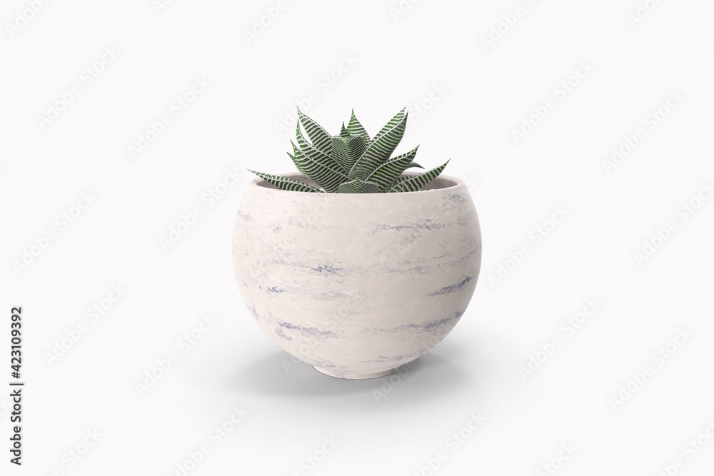 plant isolated on white background plant isolated on white background