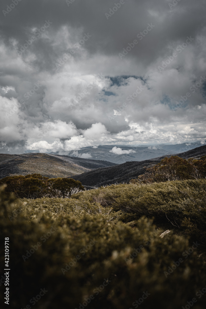 Rolling mountain views as seen from the Dead Horse Gap walking track in the  Kosciuszko National Park