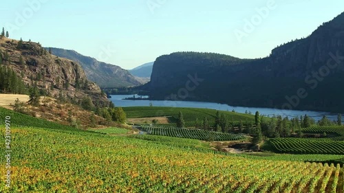 McIntyre Bluff Vineyard Winery Okanagan Falls British Columbia photo