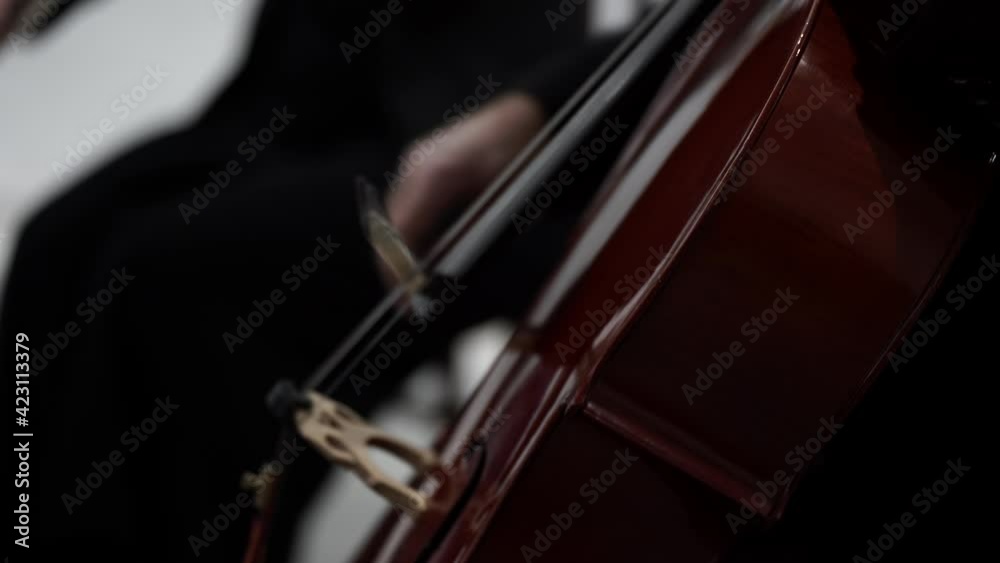 Musician playing classical music by cello instrument on concert Musician playing classical music by cello instrument on concert