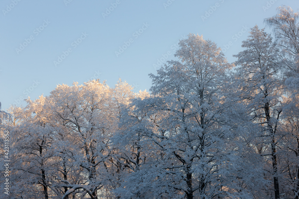 cold winter day cold winter day