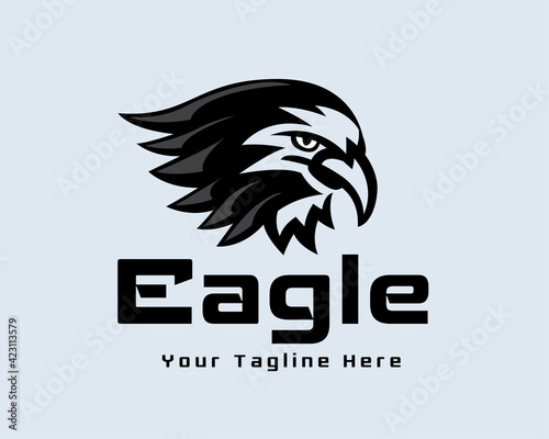 eagle hawk falcon bird head drawing art illustration logo symbol inspiration