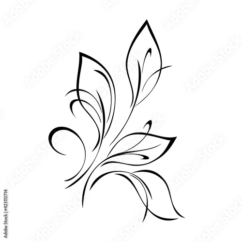 Fototapeta Naklejka Na Ścianę i Meble -  ornament 1642. unique decorative element with stylized leaves and curls in black lines on a white background