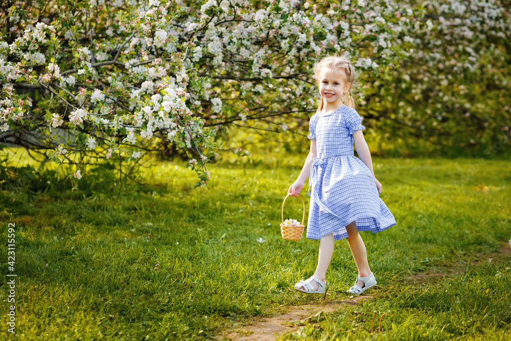 A little girl in a blue dress was walking in a blooming apple orchard. Nice spring story. Happy baby on a beautiful spring sunny day