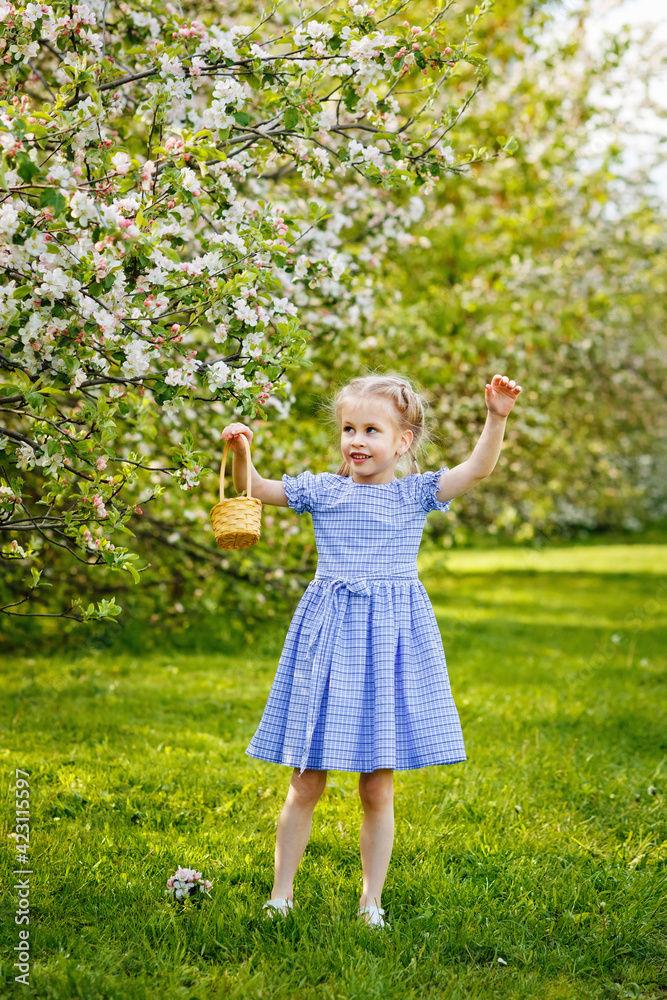 A little girl in a blue dress was walking in a blooming apple orchard. Nice spring story. Happy baby on a beautiful spring sunny day A little girl in a blue dress was walking in a blooming apple orchard. Nice spring story. Happy baby on a beautiful spring sunny day