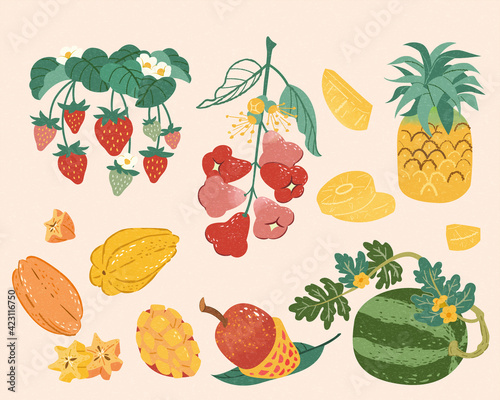 Taiwan doodle fruit collection