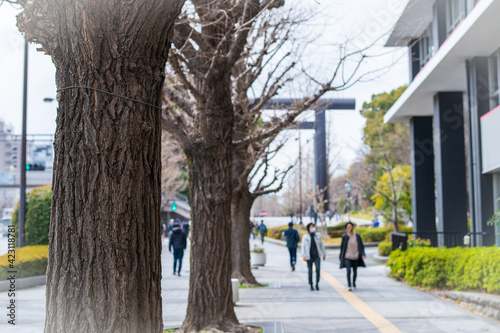 Wallpaper Mural 参拝 Torontodigital.ca
