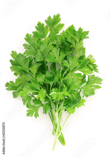 Fresh parsley herb leaves isolated on white background.