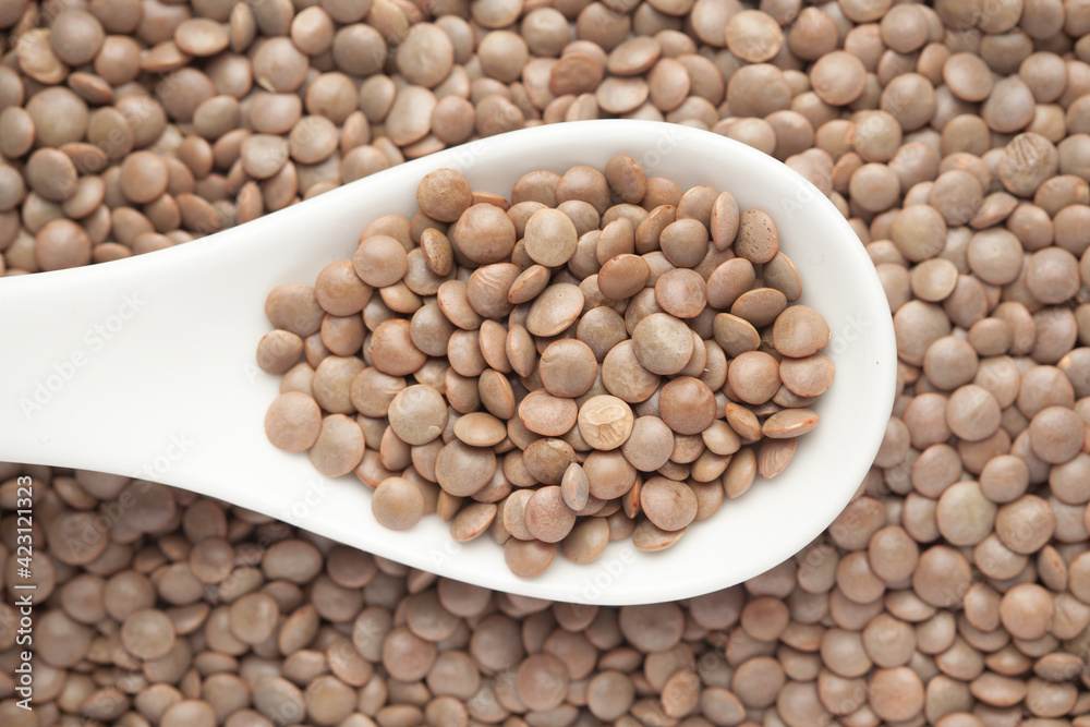 Obraz premium Macro Close up of Organic masoor dal (Lens culinaris) or whole brown dal on a white ceramic soup spoon. Top view