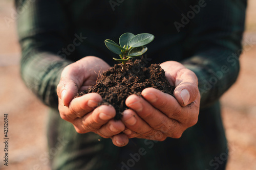 .The sapling of a tree in the hand of a man To plant trees to reduce global warming and the rapidly declining tree numbers, farming ideas and tree planting on environment day.