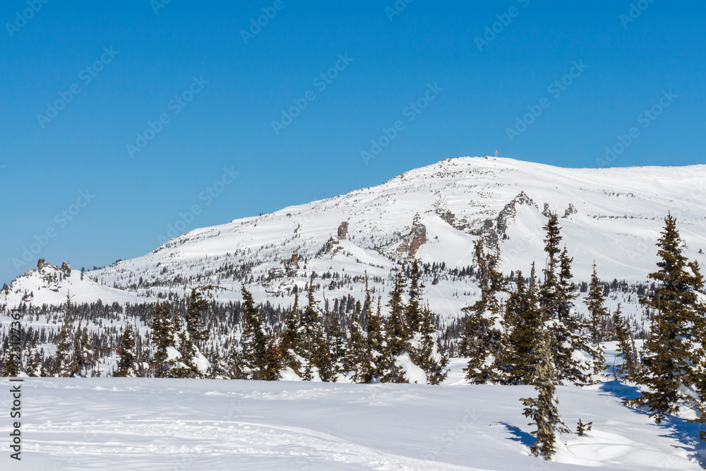 Mountain landscape. Snow-covered foot of the mountain, growing trees and a high mountain 