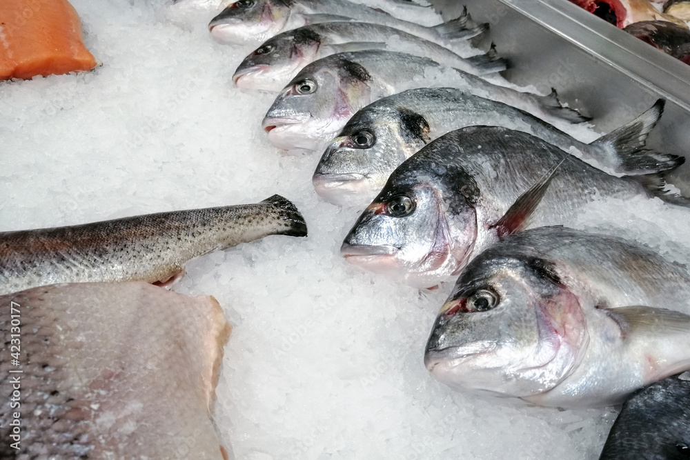 Raw fresh fish. Sea bream fish on white ice background