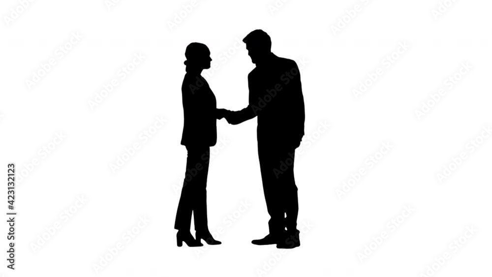Silhouette A bussiness woman and a bussiness man meet and shake hands Silhouette A bussiness woman and a bussiness man meet and shake hands