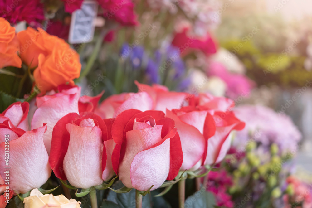 Fototapeta premium Red roses close-up in a flower shop against the background of other plants and flowers. The concept of choosing and buying flowers.