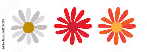 Set of simple flower of blossoming chamomile. Vector Illustration