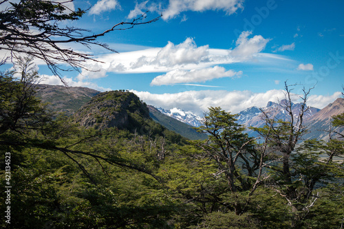 Wallpaper Mural hiking in el chaltén, mount fitz roy, patagonia, argentina Torontodigital.ca
