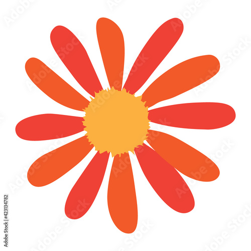simple flower of blossoming and blooming red chamomile. Vector Illustration