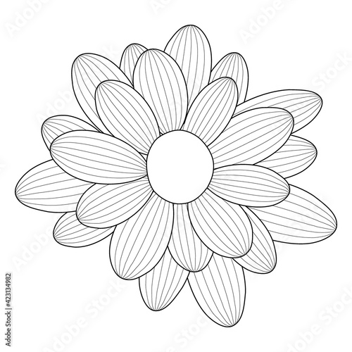 Fototapeta Naklejka Na Ścianę i Meble -  simple flower chamomile drawn by lines. Vector Illustration