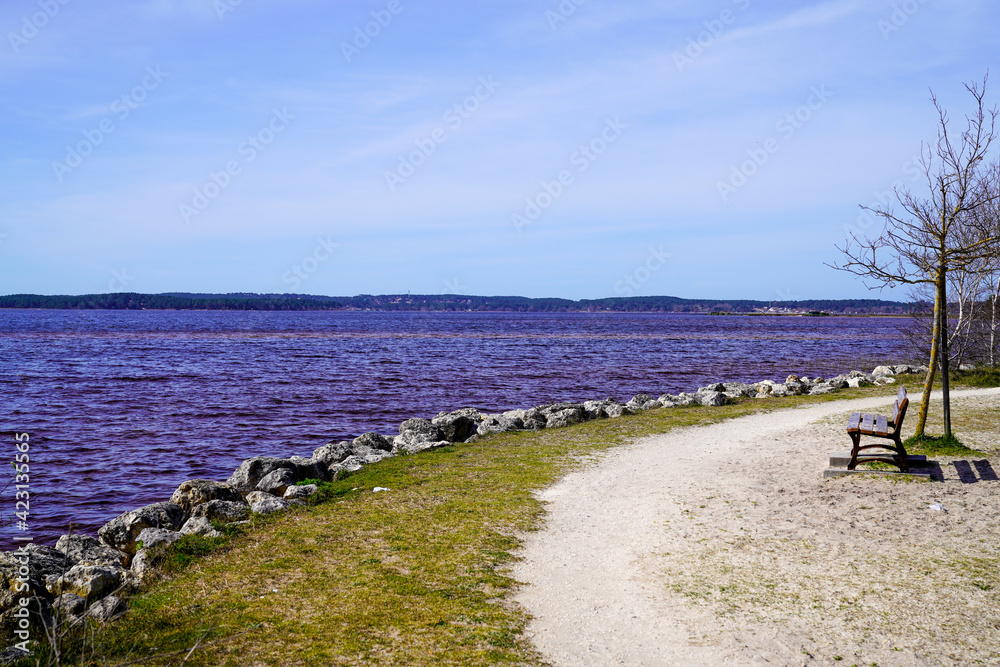 walking path on the shore of lacanau lake in gironde
