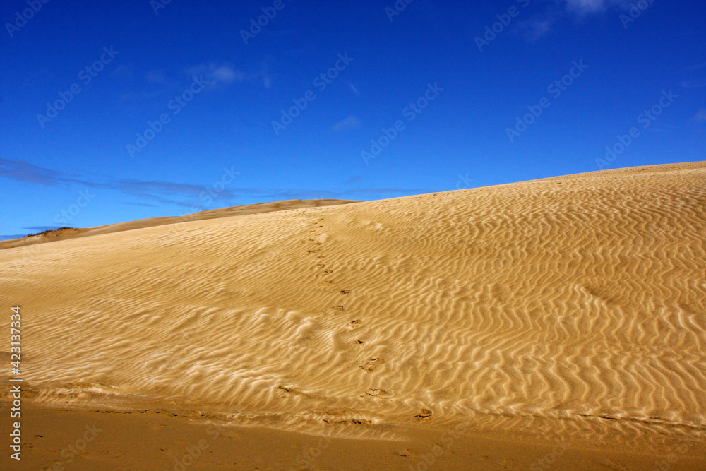 Naklejka premium Sandy hill in the desert, dunes and blue sky background
