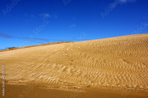 Sandy hill in the desert  dunes and blue sky background