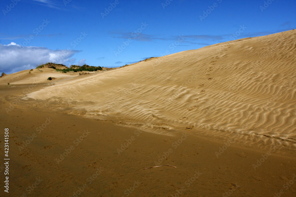 Sandy dunes by the ocean, no people, blue sky, paradise valley