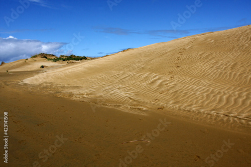 Sandy dunes by the ocean  no people  blue sky  paradise valley