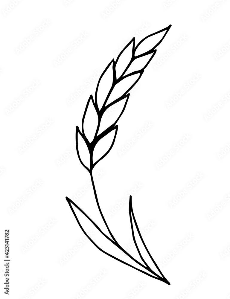 Two ears of wheat icon in outline cartoon style on white. Black and white  simple hand-drawn drawing Stock Vector Image & Art - Alamy