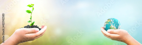Earth Day concept: hand holding plant and earth on blur green nature background