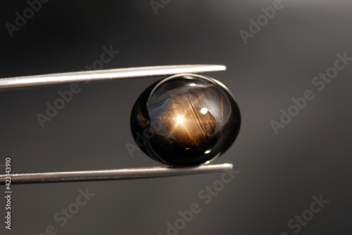 Cuadro en lienzo Natural unheated black, brown six 6 rays star sapphire oval cabochon gemstone