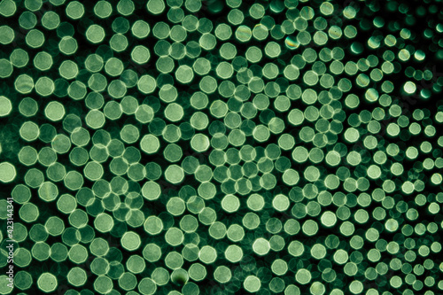 abstract green background