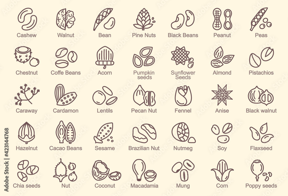 Large set of line drawn icons for nuts and seeds with names below