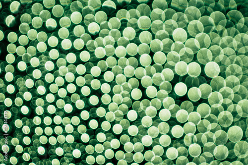 abstract green background