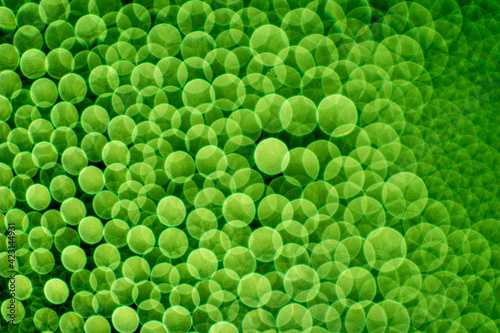 abstract green background