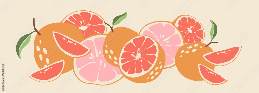 Abstract grapefruit. Composition citrus fresh. Healthy food for vegan in modern style, colorful fruits vector set. Horizontal illustration. Border line.