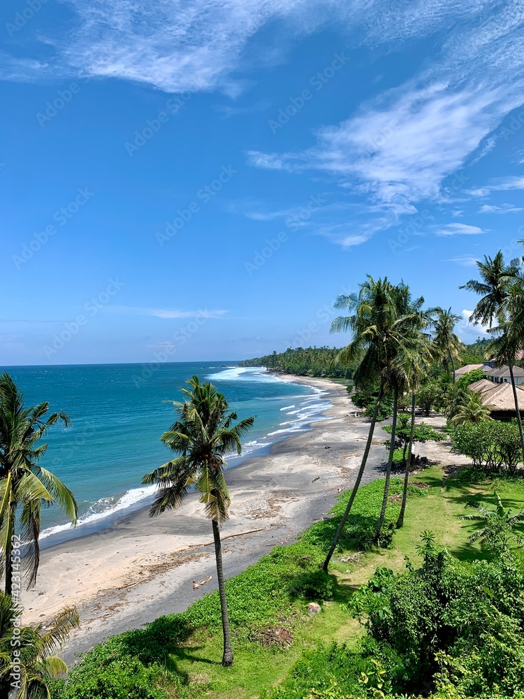 beach with palm trees