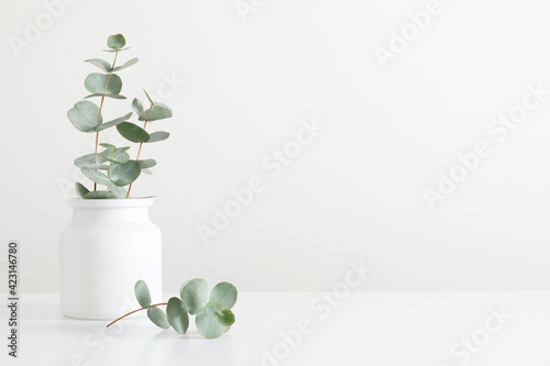 Green eucalyptus leaves in vase on white table. Front view. Place for text, copy space, mockup