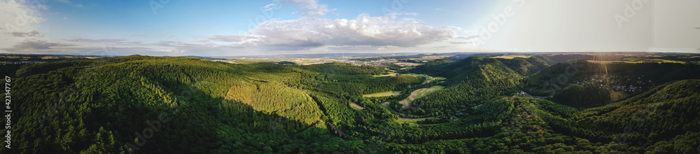 Panorama bei Wittlich
