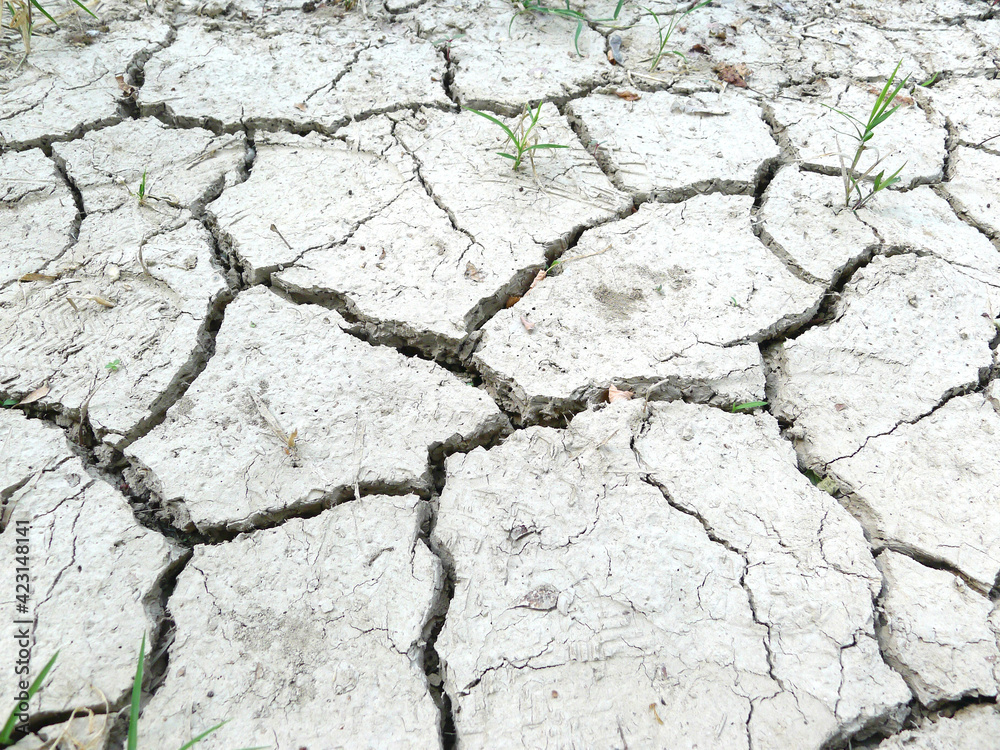Fototapeta premium Terra arida