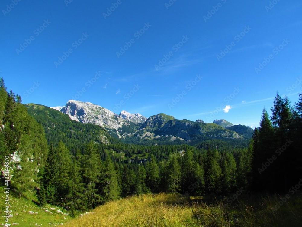 Scenic view of mountains Debeli vrh and Ogradi in Julian alps and Triglav national park, Slovenia