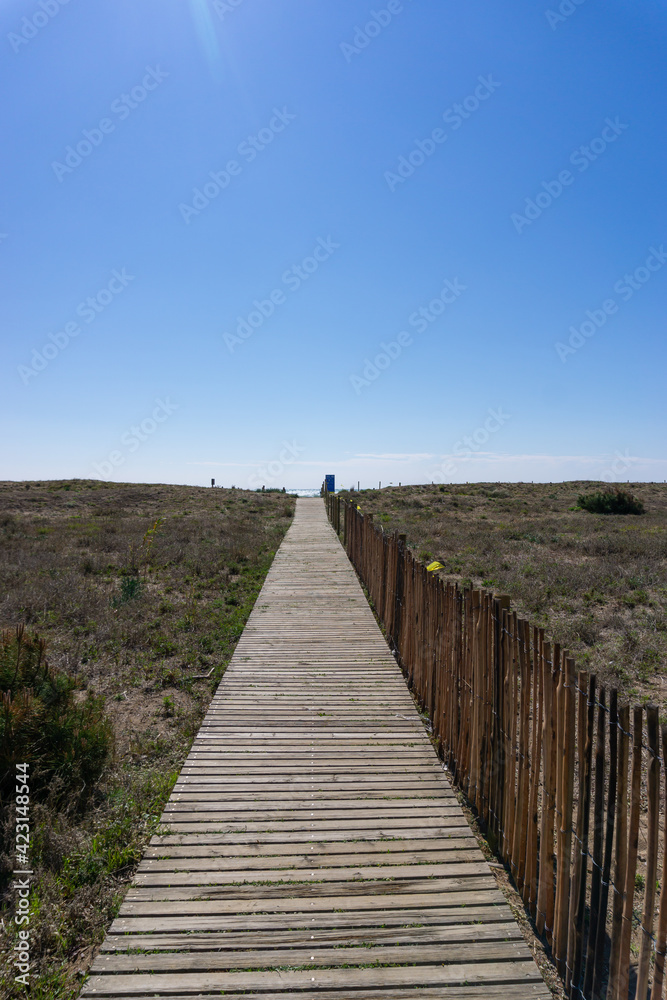 View of a wooden plank path to the beach