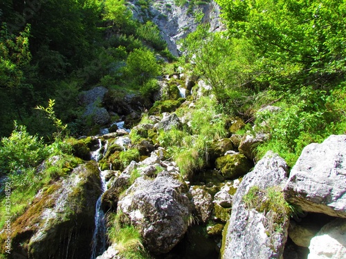 Nadiza creek in Tamar valley in Julian alps, Slovenia with large rcoks covered in moss photo