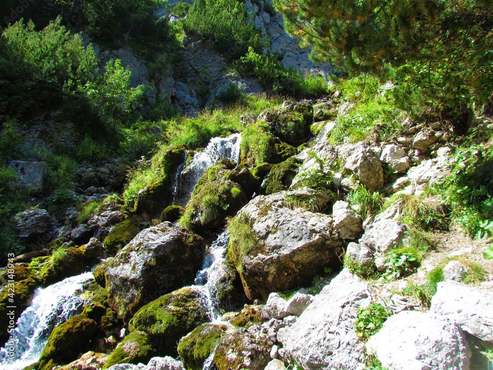 Nadiza creek in Tamar valley in Julian alps, Slovenia with large rcoks covered in moss Nadiza creek in Tamar valley in Julian alps, Slovenia with large rcoks covered in moss