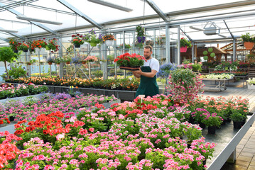 happy worker growing flowers in a greenhouse of a flower shop